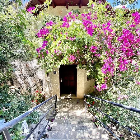 Club Barbarossa Kaş