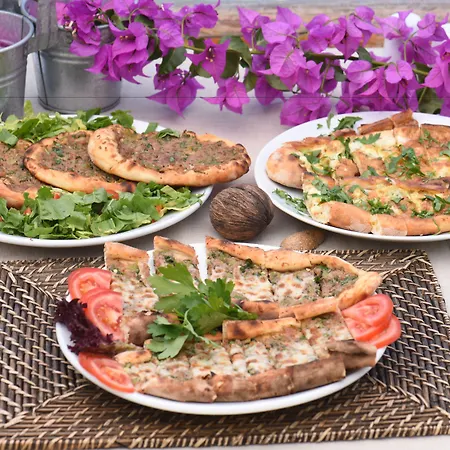 بربروسا كلوب 4* كاس