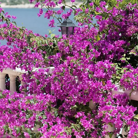 Club Barbarossa Otel Kaş