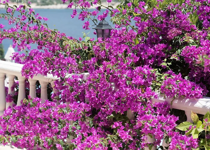 Club Barbarossa Hotel 4*