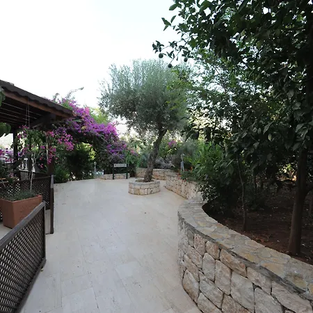 Club Barbarossa Hotel 4*