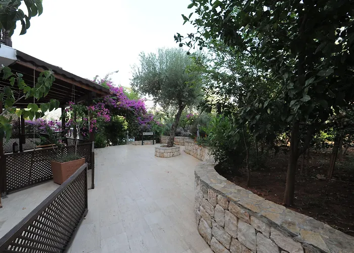 Club Barbarossa Hotel 4*